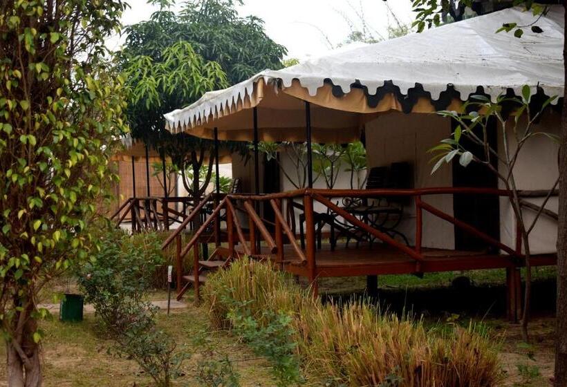Standard Tent, Sultan Bagh Resort By The Sky Imperial