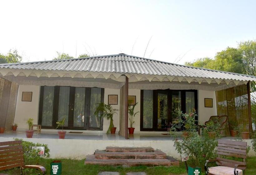 带大床的标准间, Sultan Bagh Resort By The Sky Imperial