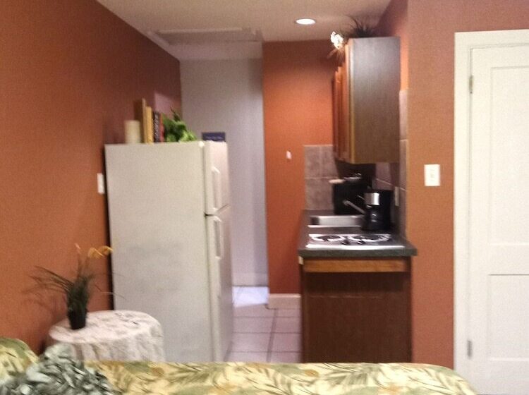 إستوديو ديلوكس, Swashbuckler Motel