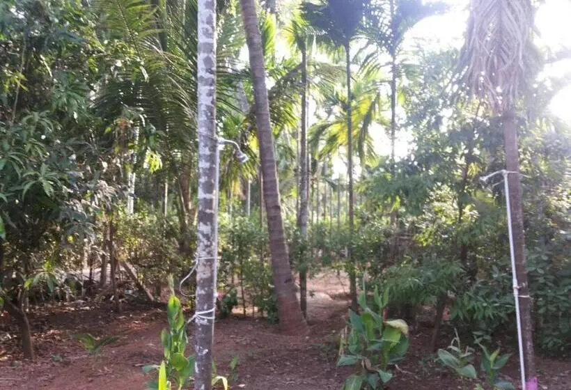 Perhehuone, Tendulkar Beach Resort
