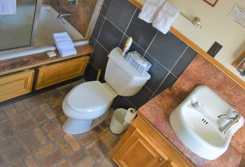 带大床的豪华间, Bazsinsky House