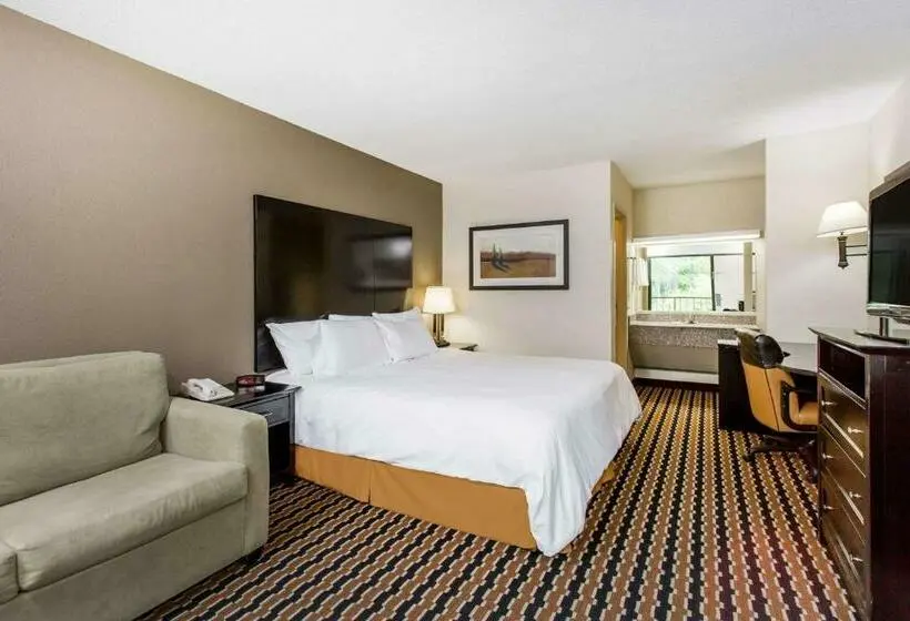 キングサイズベッドのスタンダードルーム, Quality Inn Near Speedway