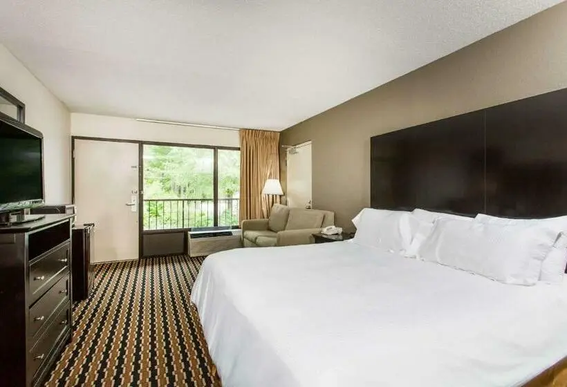 キングサイズベッドのスタンダードルーム, Quality Inn Near Speedway