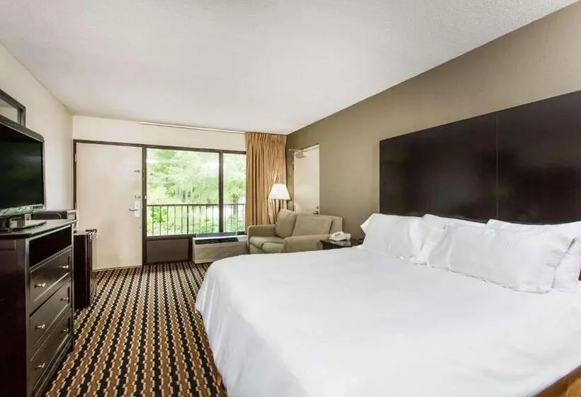 身障者適用キングサイズベッドルーム, Quality Inn Near Speedway