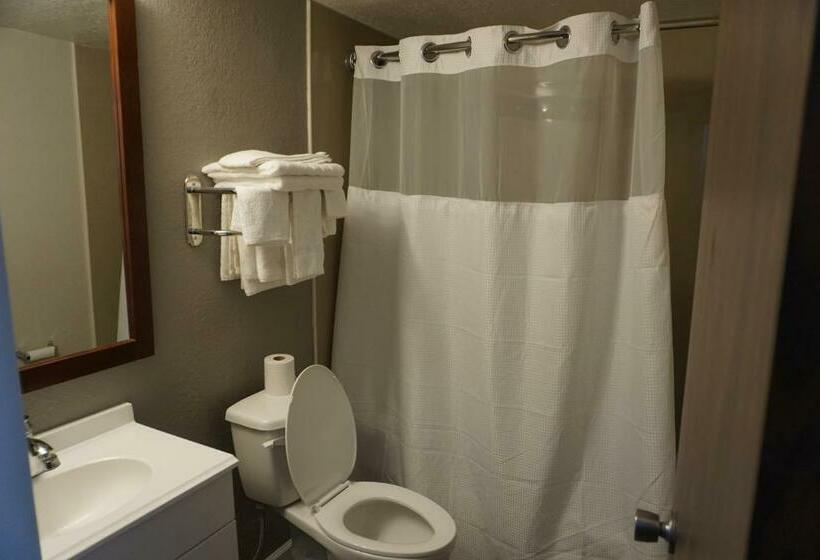 غرفة قياسية سرير كينج, Rodeway Inn