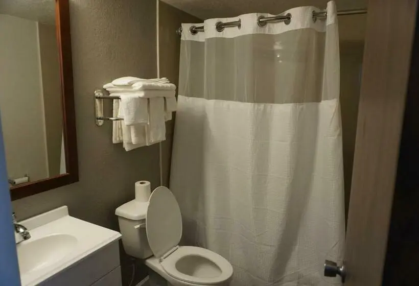 Standard-huone King-vuode, Rodeway Inn