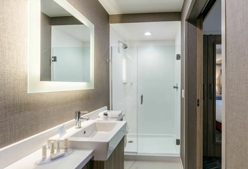 套房, Springhill Suites By Marriott Columbia