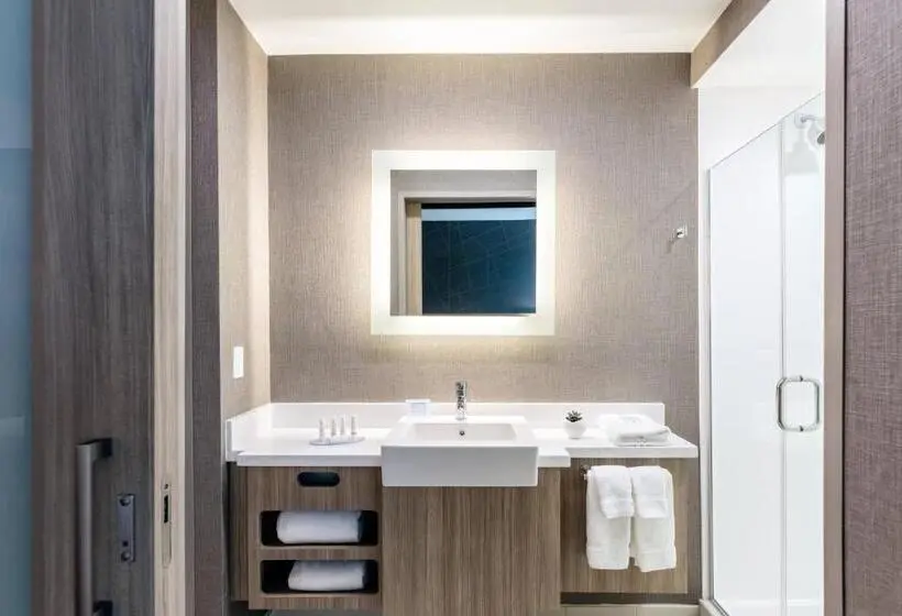 Sviitti King-vuode, Springhill Suites By Marriott Columbia