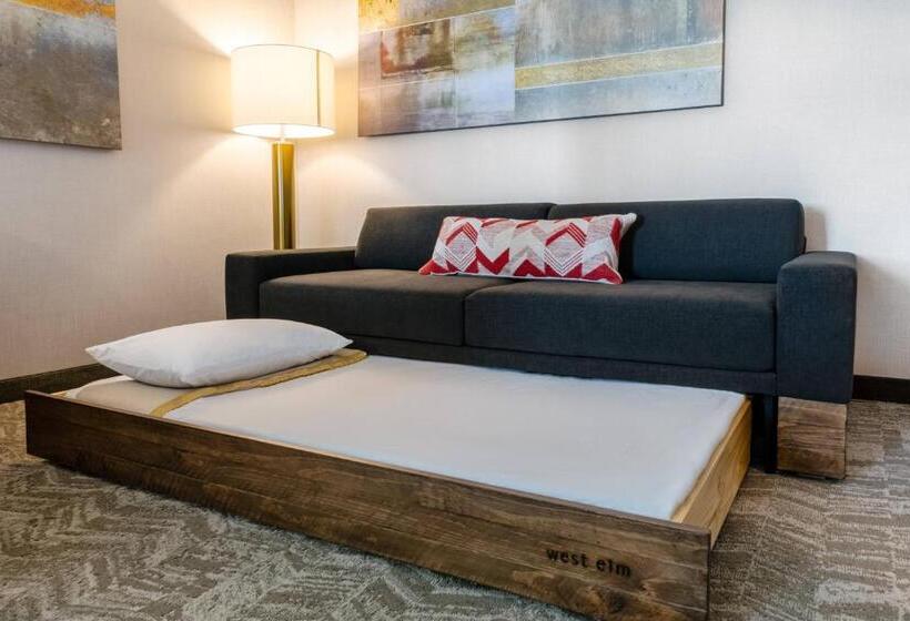 جناح سرير كينج, Springhill Suites By Marriott Columbia