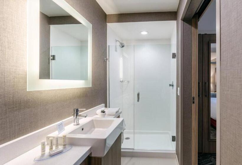 适合残疾人士使用的套间, Springhill Suites By Marriott Columbia