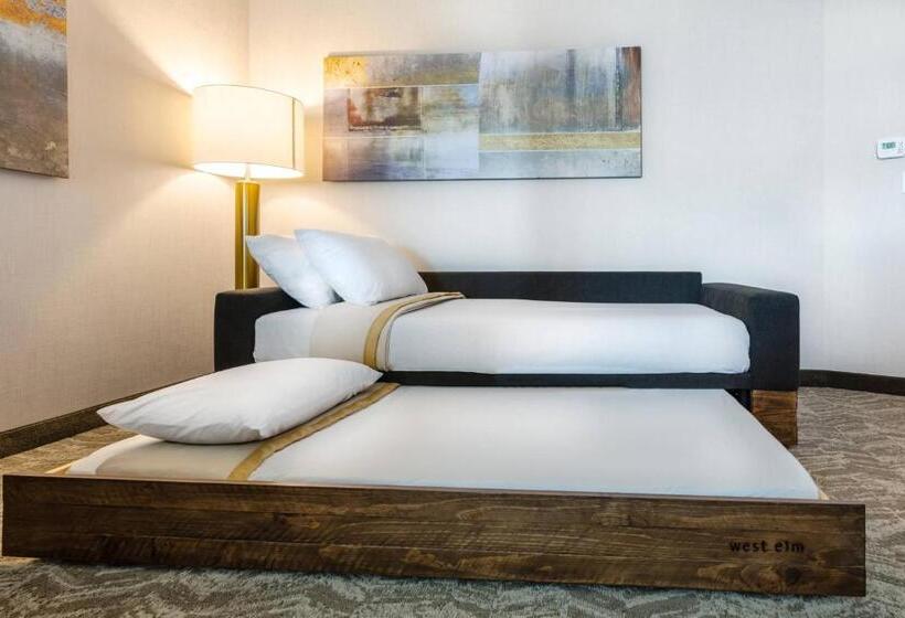 جناح لذوى الاحتياجات الخاصة, Springhill Suites By Marriott Columbia