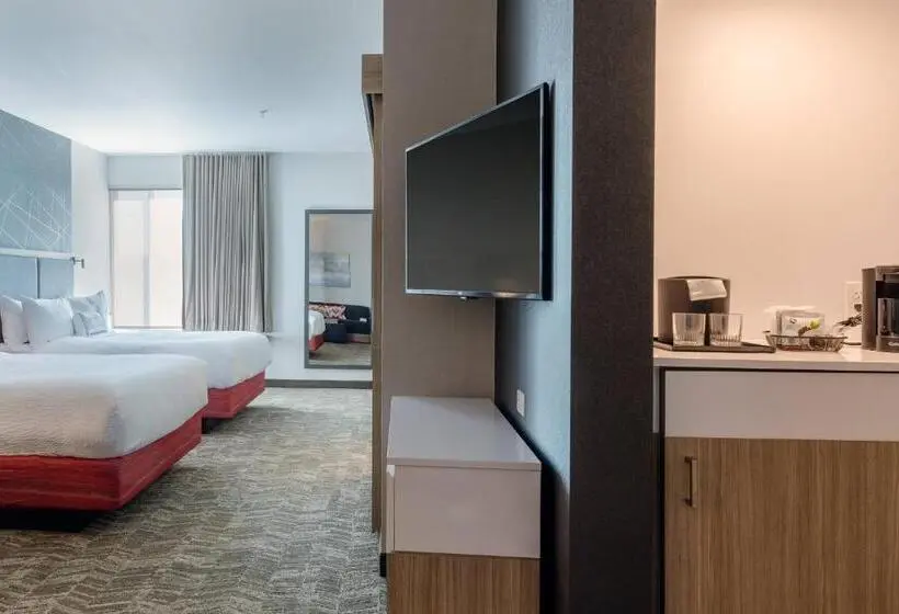 Sviitti Liikuntarajoitteisille, Springhill Suites By Marriott Columbia