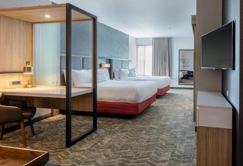 جناح لذوى الاحتياجات الخاصة, Springhill Suites By Marriott Columbia