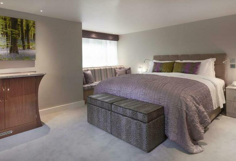 디럭스 룸, The Dog And Badger