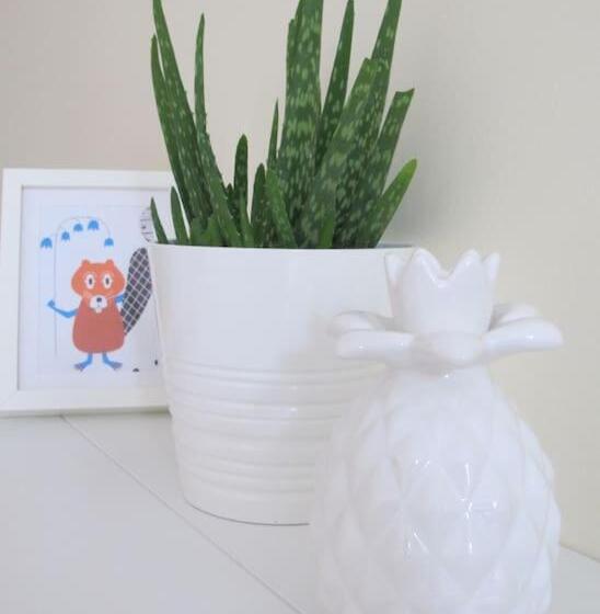 コンフォートトリプルルーム, The Jollys