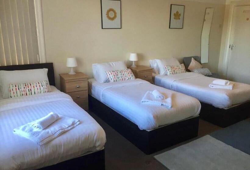 バスルーム共同エコノミー4人部屋, The Jollys