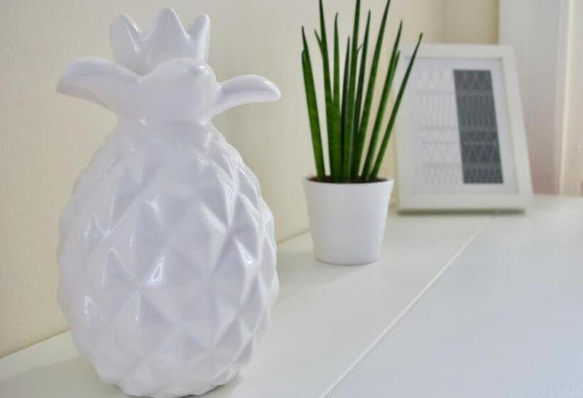 バスルーム共同エコノミー4人部屋, The Jollys