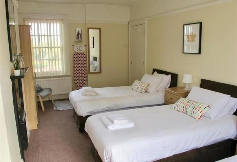 コンフォートトリプルルーム, The Jollys