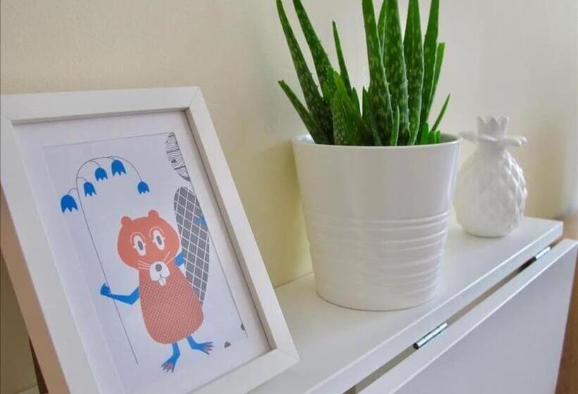 ベーシックルーム, The Jollys