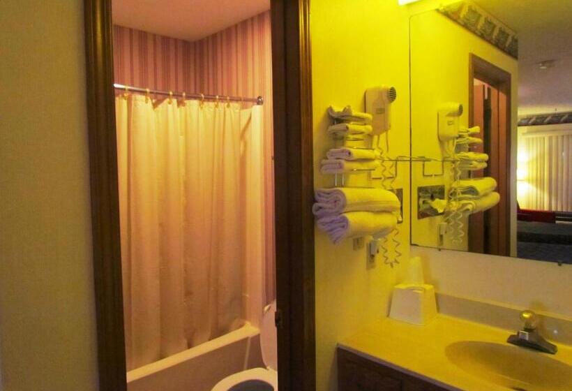 غرفة ديلوكس, Travel Inn & Suites