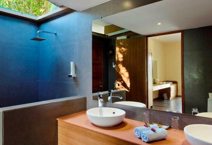 ویلای لوکس 1 خوابه, Eriyadu Island Resort