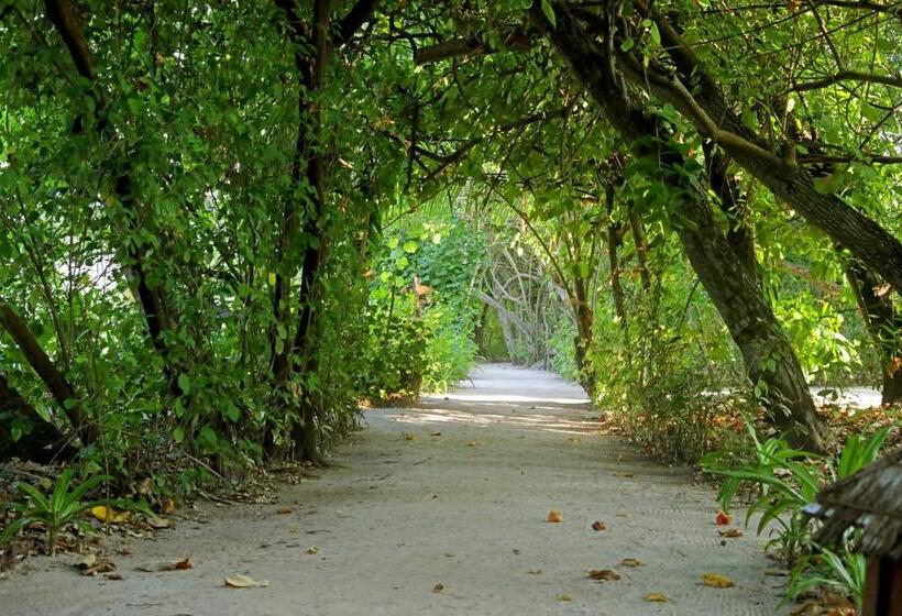 ویلای لوکس 1 خوابه, Eriyadu Island Resort