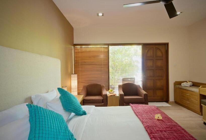 اتاق استاندارد با چشمانداز دریا, Eriyadu Island Resort