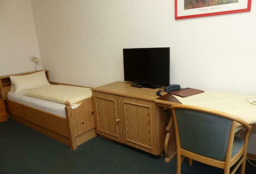 חדר סטנדרט יחיד עם מרפסת, Grüner Baum