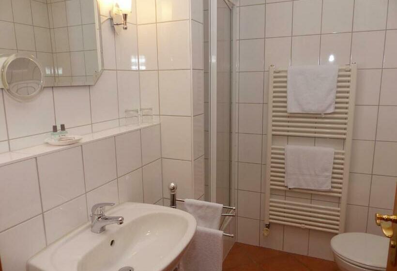 חדר סטנדרט עם מרפסת, Grüner Baum