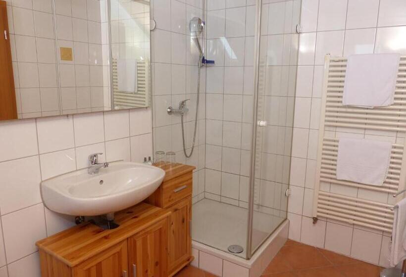 חדר סטנדרט עם מרפסת, Grüner Baum