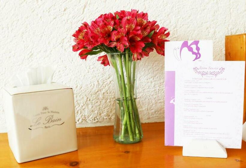 غرفة قياسية مطلّة علي حمام السباحة, Hacienda Panoaya