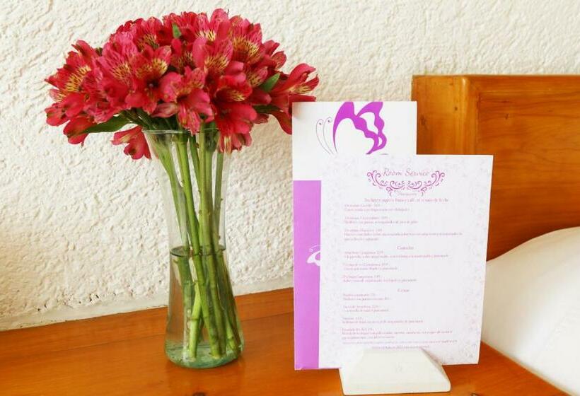 غرفة قياسية مطلّة علي حمام السباحة, Hacienda Panoaya