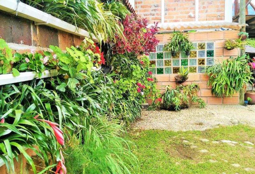 Номер Стандарт, Kantarrana Urbana Jardin