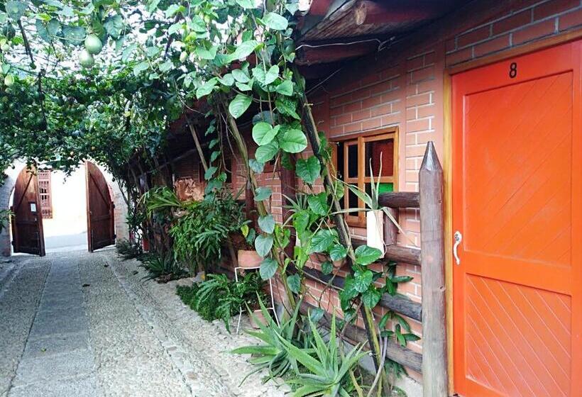 Номер Стандарт, Kantarrana Urbana Jardin