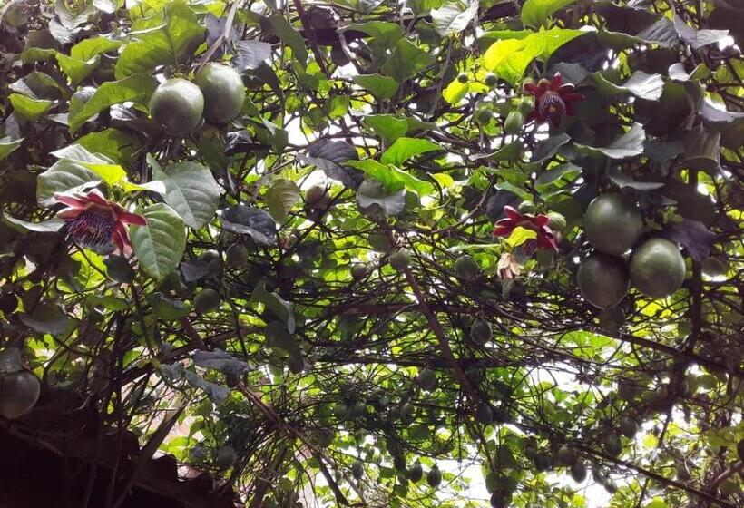 חדר סטנדרט, Kantarrana Urbana Jardin