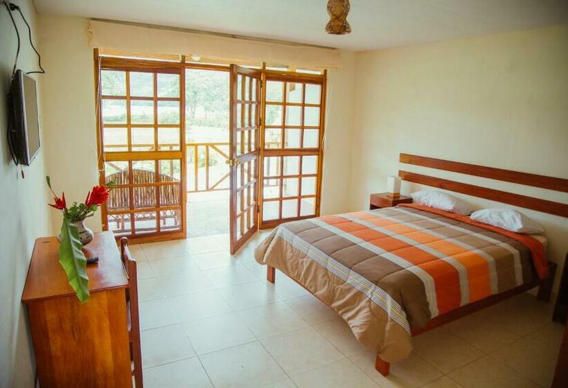 스탠다드 룸 풀장 전망, Maloca Inn