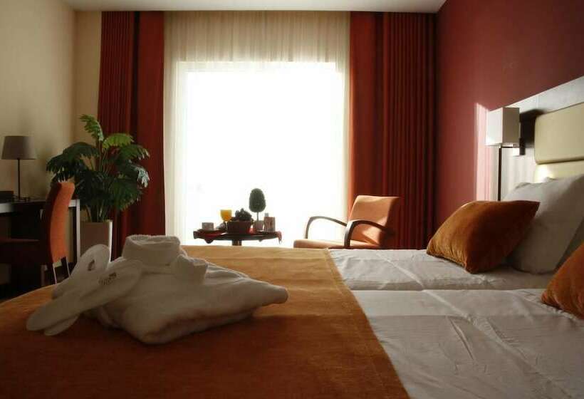 スタンダードルーム, Palace Hotel & Spa Termas Do Bicanho