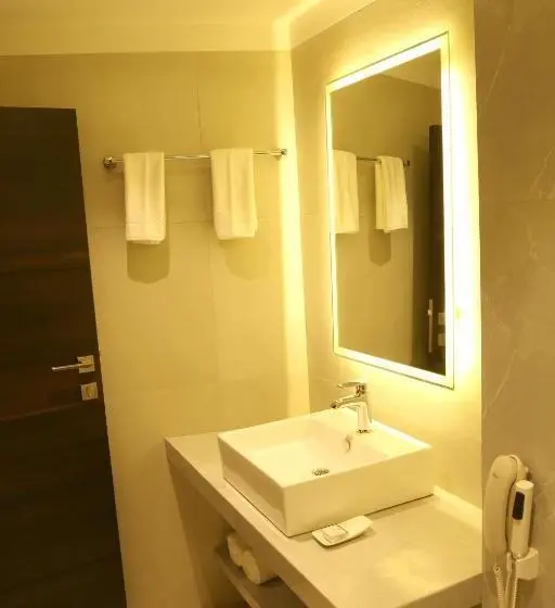 エクゼクティブルーム, The Flora Grand, Vasco, Goa
