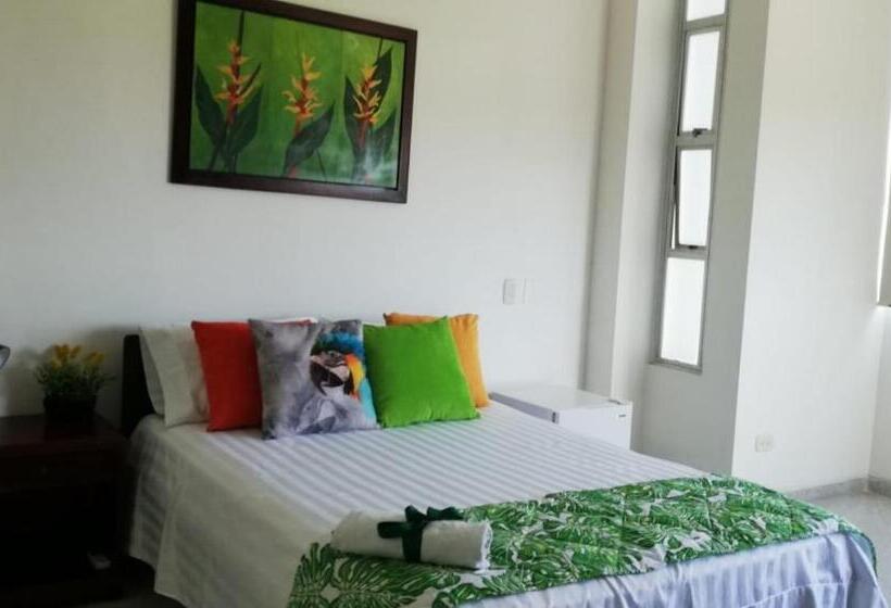 חדר סופריור, Tropical