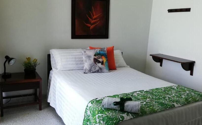 חדר סטנדרט, Tropical