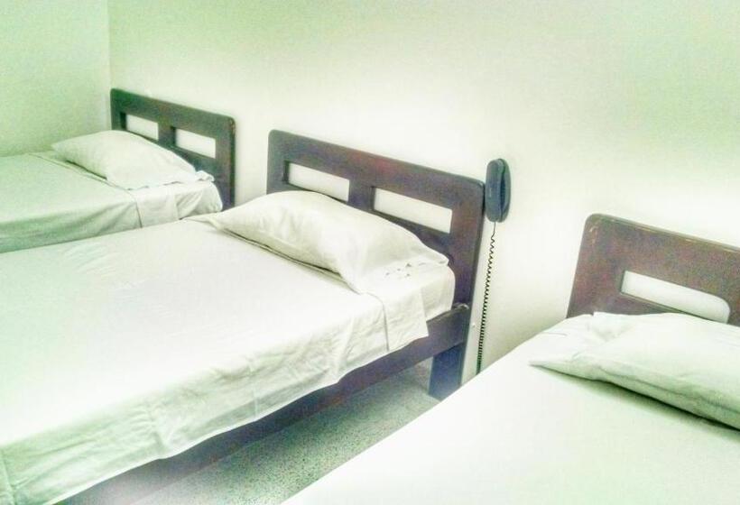 חדר סופריור לשלושה, Tropical