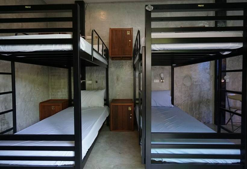 Letto in Camera Condivisa, Pk Hostel