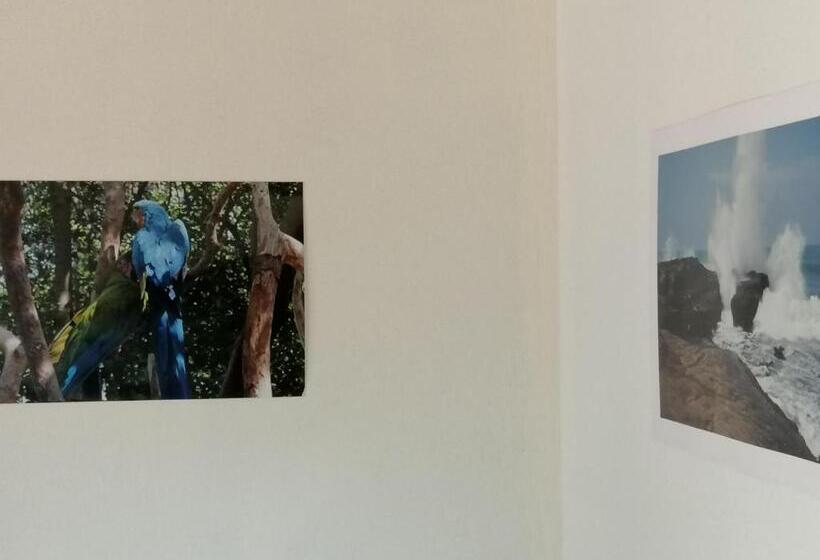 חדר סופריור, Tagualodge Hostel Manglaralto