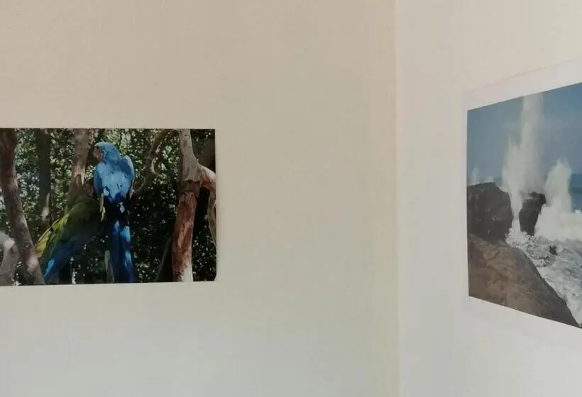 اتاق سوپریور, Tagualodge Hostel Manglaralto