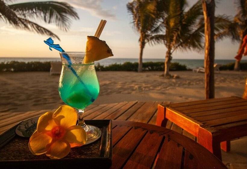 جناح ديلوكس مطل على البحر, Yemaya Boutique