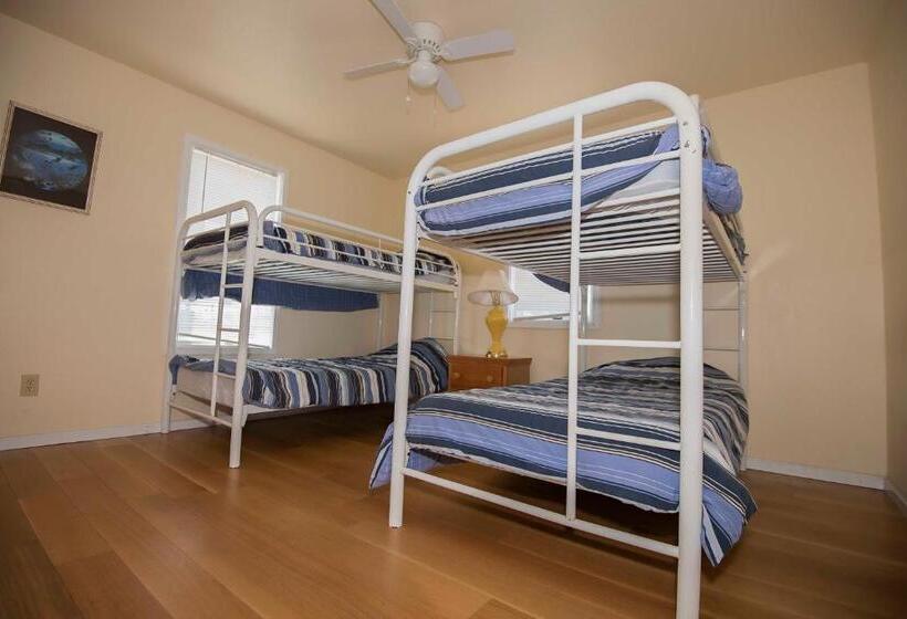 منزل غرفة نوم واحدة, Avon Cottages