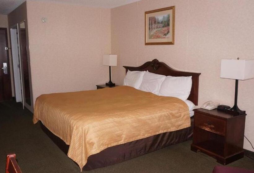 带大床的标准间, Scotland Neck Inn