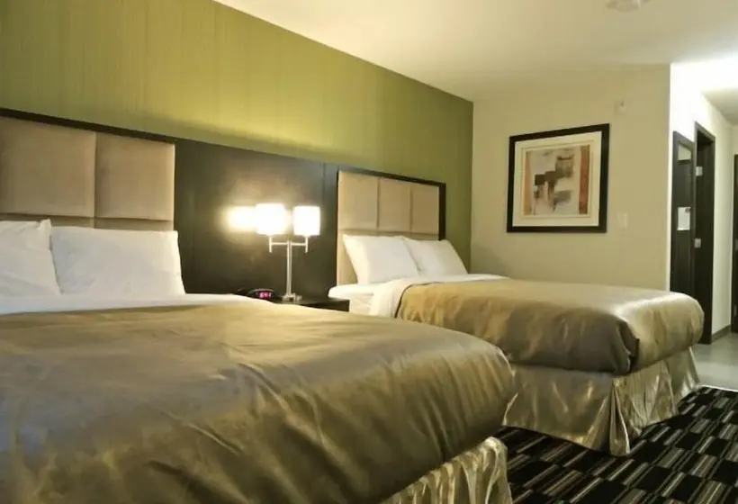 デラックスルーム, Western Star All Suites  Melita