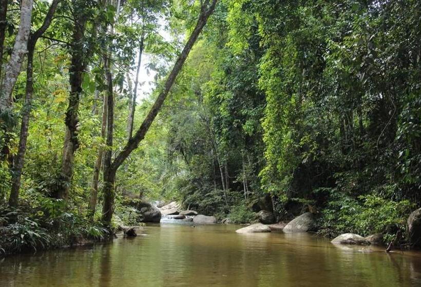 トリプルクラシックルーム, Rockforest Chalet