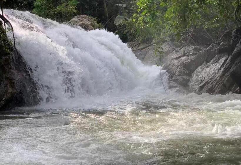 デラックスファミリールーム, Rockforest Chalet